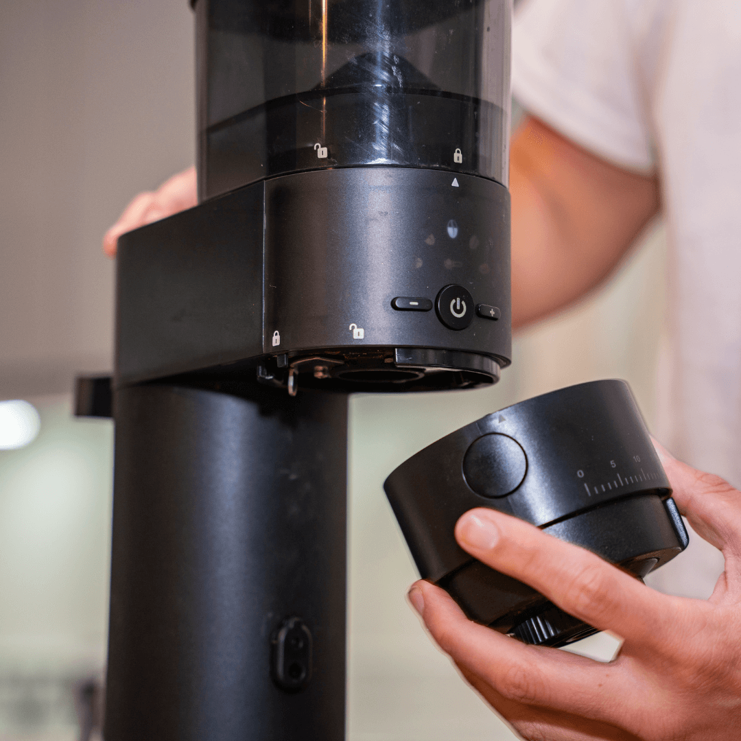 stainless steel burr grinder