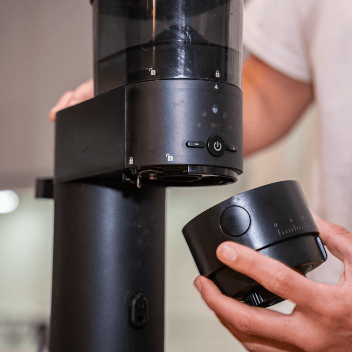 stainless steel burr grinder